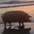 Arthur D Spooner's profile image