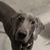Hap Clemons's profile image