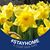 Deb Patton's profile image