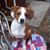 Debbie Defibaugh Lynn's profile image