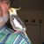 Greg Johnson's profile image