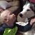 Katelynn Westley's profile image