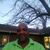Lavarace Morris's profile image