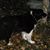 Connie Hess Canfield's profile image