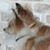 Cydney Forman's profile image