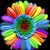 Debbie Williams Hansen's profile image