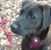 Michelle Perhach Karr's profile image