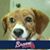Peggy Brown's profile image