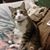 Linda Drumright's profile image