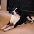 Mary Ann Toledo's profile image
