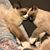 Lisa Bell Schnitzker's profile image