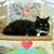 Shirley Everson's profile image
