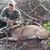 Jeffrey Tutone's profile image