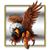 Nick Raschelle's profile image