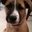 Allyson Creel's profile image
