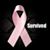 Sue Haire's profile image