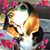 Katie Burdick's profile image