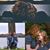 Karen McElroy's profile image