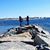 Michelle Sellars's profile image