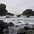 Donni Borchard's profile image