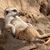 Patricia McGiness's profile image