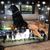 Michelle Scollard Reynolds's profile image