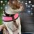 Natalie Pohorecki's profile image