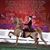 Sheila M. Guay's profile image