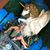 Joanna Karie's profile image