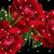 Diana Mitchell's profile image