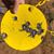 Larry Gene Pate's profile image