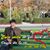 Vuong Long's profile image