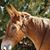 Nancy Glascock's profile image