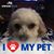 Cathy Haley's profile image