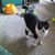 Peggy Oelke's profile image