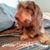 Beverly Sweeney's profile image