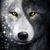 Daniel Flores's profile image