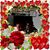 Mercedes Holguin-Dodge's profile image