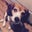 Dirk Baeuerle's profile image
