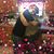 Amy Popour Hutchinson's profile image