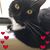 Rose Pavey's profile image