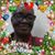 Marie Clarke Tinglin's profile image
