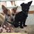Sandra J. Hersey's profile image
