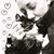 Marilyn Faye Castleman's profile image