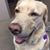 Mike Kravitz's profile image