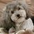 Paul DeCrescente's profile image