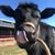 Michael Hogan's profile image