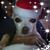 Robert Parra's profile image