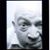Mark D Bowers's profile image