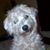Sylvie Parsons's profile image